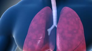 ESPACIO A TIERRA - November 10, 2023